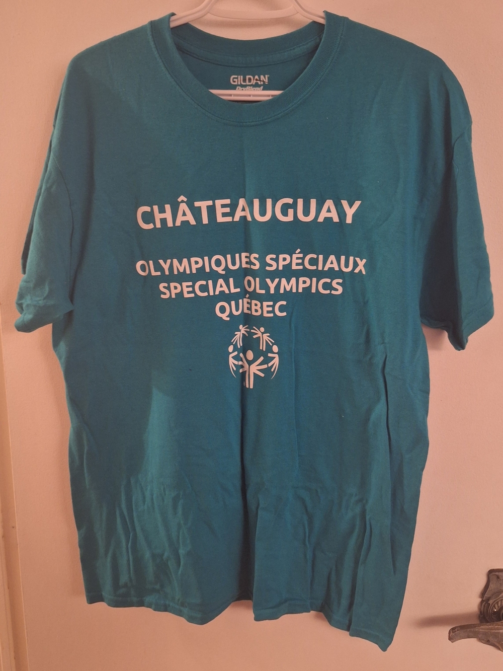 Gildan Men's Teal Tee